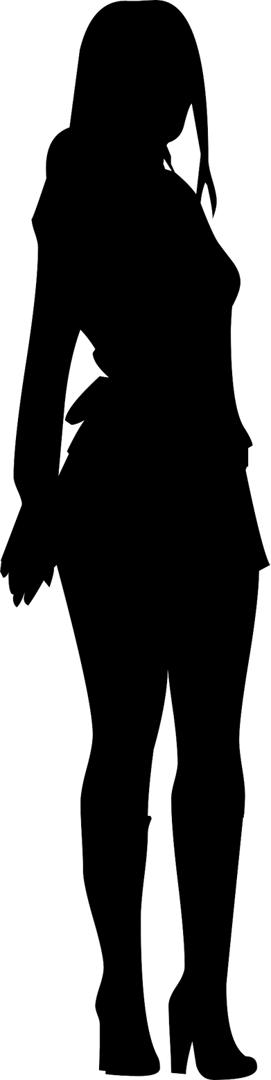 Standing Woman in a Dress Silhouette Illustration 